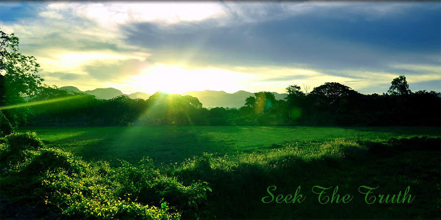 Seek The Truth